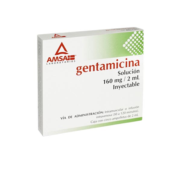 AM GENTAMICINA 160 MG/2 ML. AMP C/5